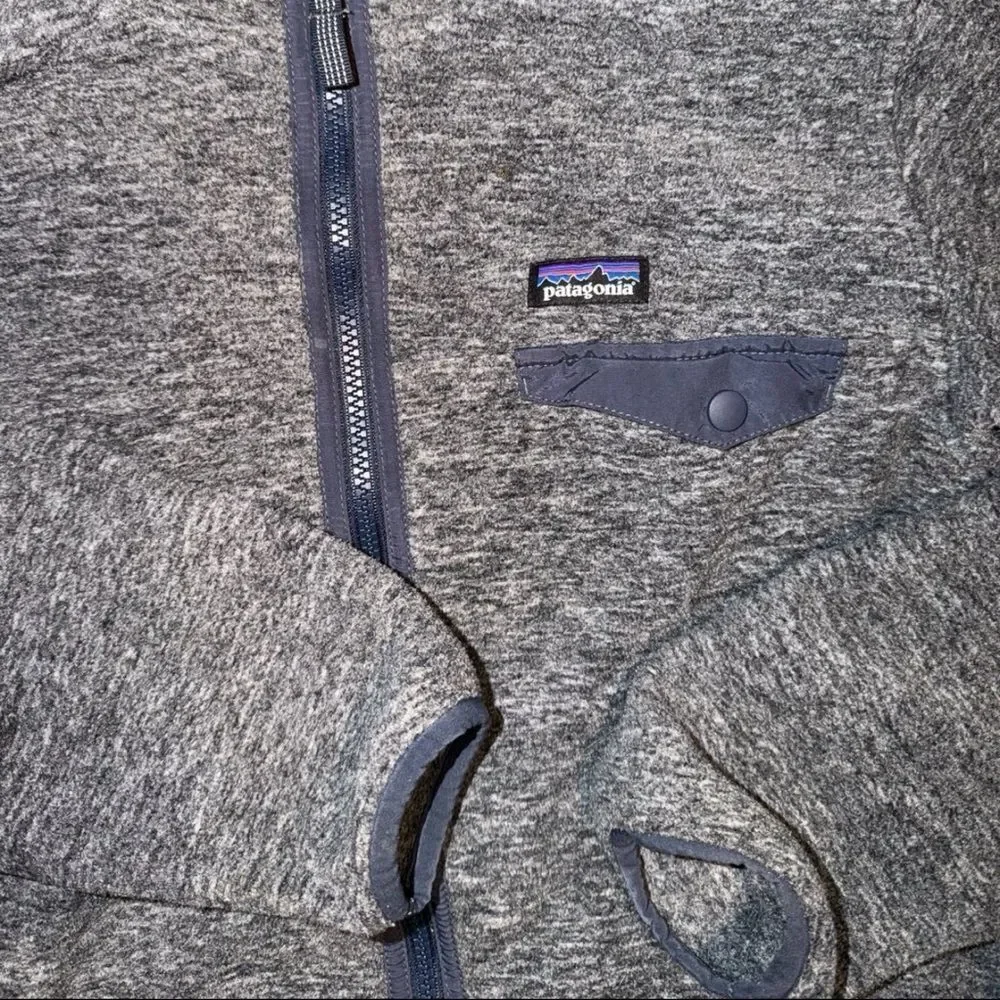 Patagonia Kids Heathered Gray Hoodie